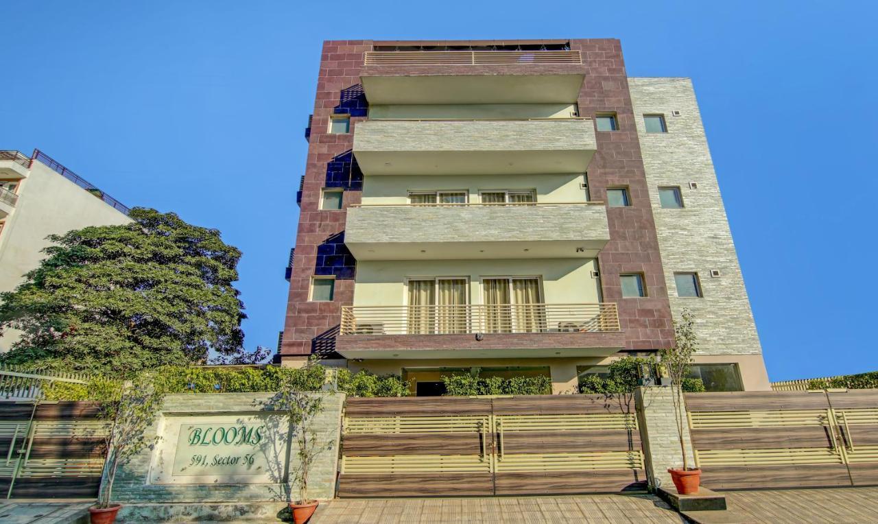 Treebo Trend Blooms Premium Hotel Gurgaon Buitenkant foto